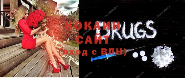 крисы Алзамай