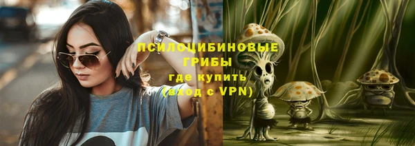 крисы Алзамай